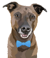 Dog Pet Sticker by Watertown Humane Society