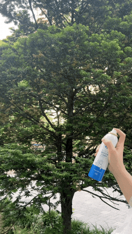 lifeholic giphyupload korea spray deodorant GIF
