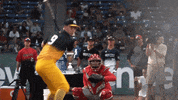 areacodebaseball  GIF