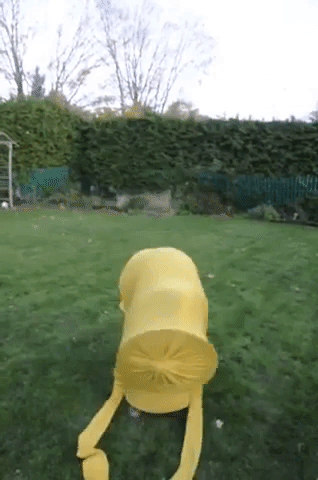 Wacky Waving Inflatable Arm Flailing Tube Man