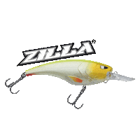 Gone Fishing Sticker by Catch More Fish