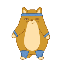 Cat Fitness Sticker by Share It Again