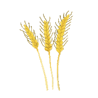 Flower Garden Sticker