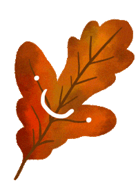 Fall Season Falling Sticker by Eledraws (Eleonore Bem)
