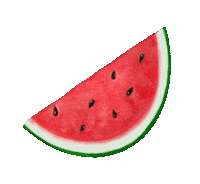 Sonam23 fruit watermelon fruits sonamm Sticker