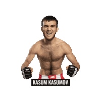 Mixed Martial Arts Mma Sticker by BRAVE Combat Federation
