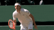 Taylor Fritz Sport GIF by Wimbledon