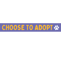 awlqld adopt dont shop awl adopted dog adopted cat Sticker