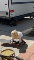 Toddler Rides Skateboard Like a Pro