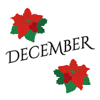 Flowers December Sticker by Erstwilder