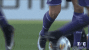 ligue 1 soccer GIF by Toulouse Football Club