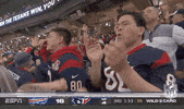 2019 Nfl Football GIF by NFL