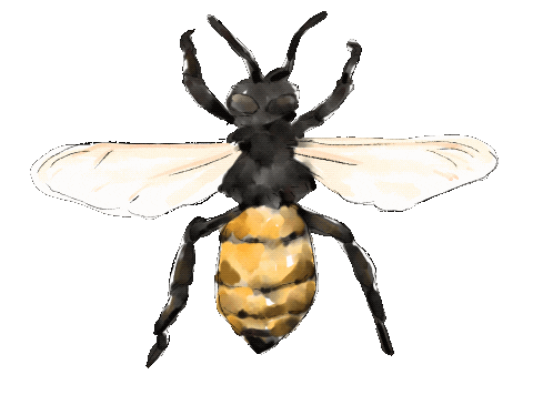 Honey Bee Garden Sticker