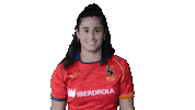 FERugby rugby fer bimba pgr Sticker
