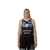 Basketball Sticker by Borås Basket