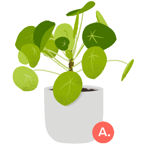 articlemodern giphyupload plant plants leaf Sticker