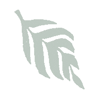 Icon Leaf Sticker by DWD Travel