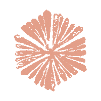 Icon Starburst Sticker by DWD Travel