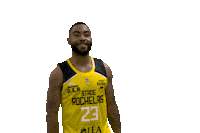 Celebration Basket Sticker by Stade Rochelais
