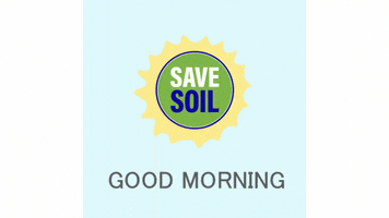Good Morning Sun GIF by Save Soil