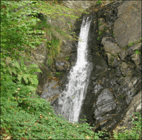 youth fountain GIF