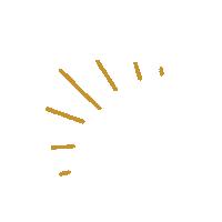 Star Flashing Sticker