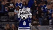 Happy Toronto Maple Leafs GIF by NHL