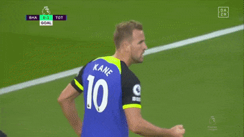 Premier League Football GIF by DAZN
