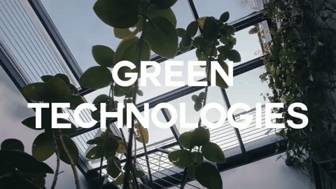 simone dipietro simonedicequalcosa  domenico de fazio video cammelli 2017 architettura loop davinci GIF