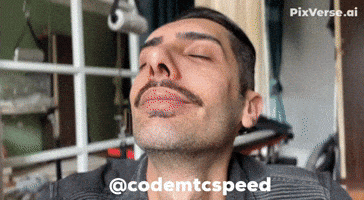 Funnydog GIF