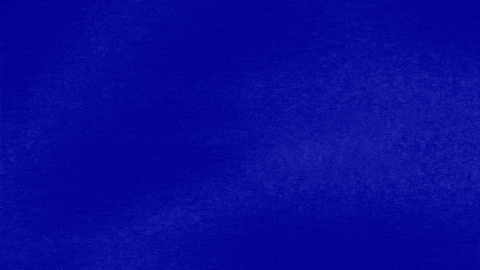 Auction GIF by Jeopardy!