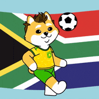 World Cup Football GIF by Dogelon Mars