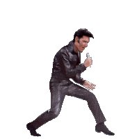 elvis presley 1950s Sticker