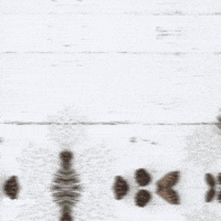 Merry Christmas GIF by TeaCosyFolk