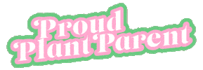 proud plant Sticker by Apartment Therapy