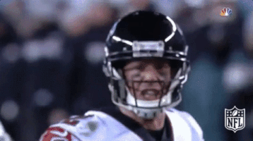 atlanta falcons football GIF by NFL