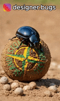 designerbugs designerbugs GIF