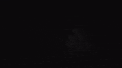 The Last Man On Earth Theo Ellis GIF by Wolf Alice