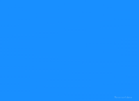 Fish Bone Swimming GIF