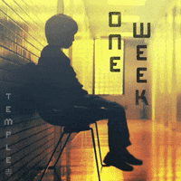 screenmediafilms temple screen media films one week GIF