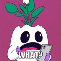 What The What Omg GIF by Magic Eden