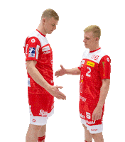 Handshake Handball Sticker by TUSEM Essen