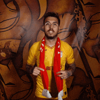Harry Potter Football GIF by SC Braga