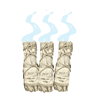 Primnproperco sage prim primnproperco primnproper Sticker