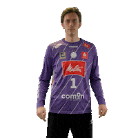 Handball Minden Sticker by DAIKIN HBL
