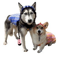 Besties Bestfriend Sticker