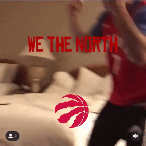 stumclaren raptors nbaplayoffs we the north stu mclaren GIF