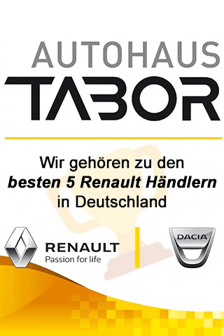 tabor_ car cars renault clio GIF