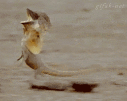 work friday GIF