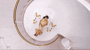 Bardi Gang GIF by Cardi B